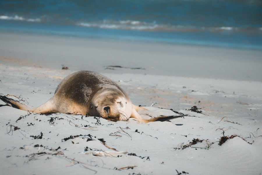 Cleaning Around Seals and Tracks Safely