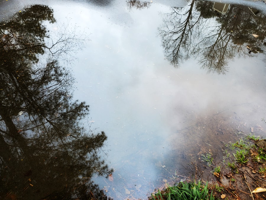 Upsell Steam Sanitisation