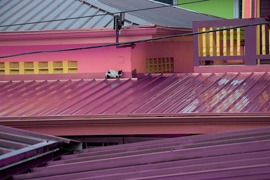 Cleaning Fabric Convertible Roofs