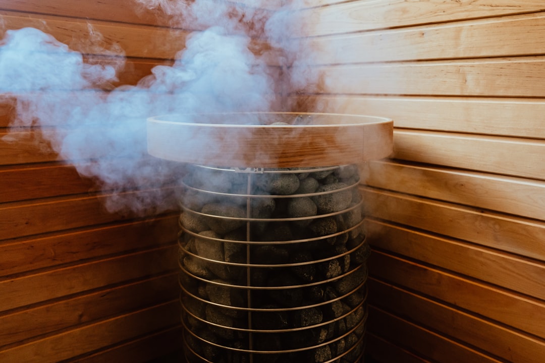 Photo Steam Helps Remove Mould and Mildew