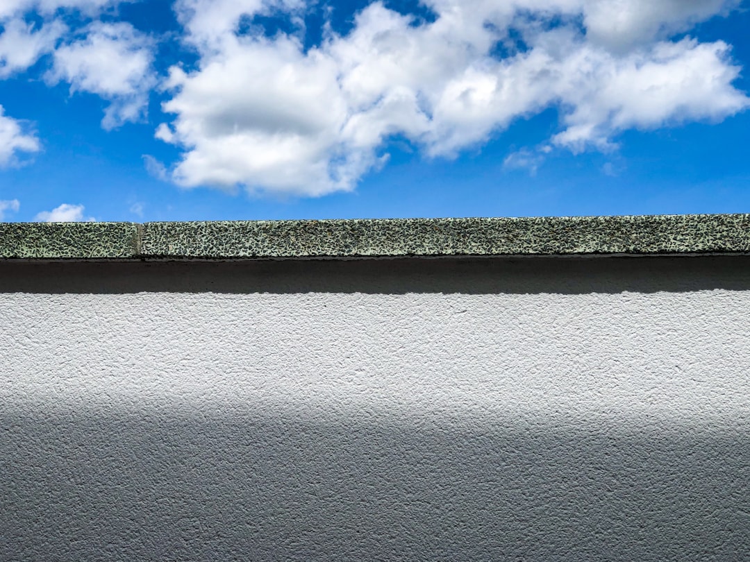 Photo Cleaning Car Roof Liners