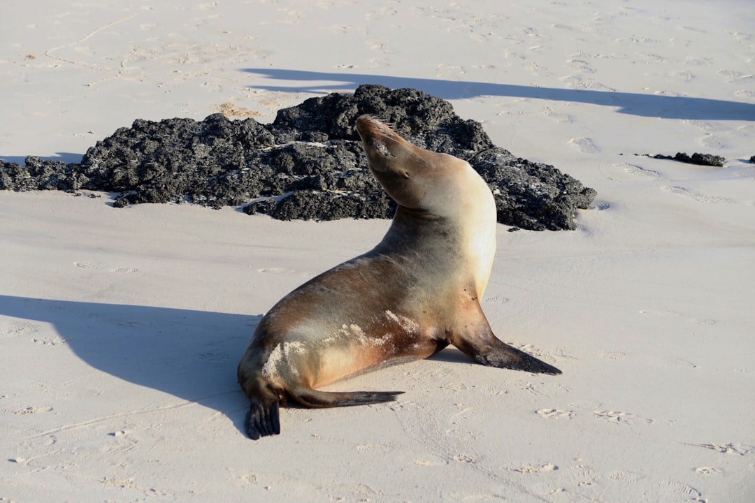 Photo Cleaning Around Seals and Tracks Safely