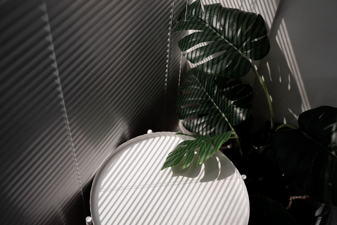 Photo Eco-Friendly Detailing