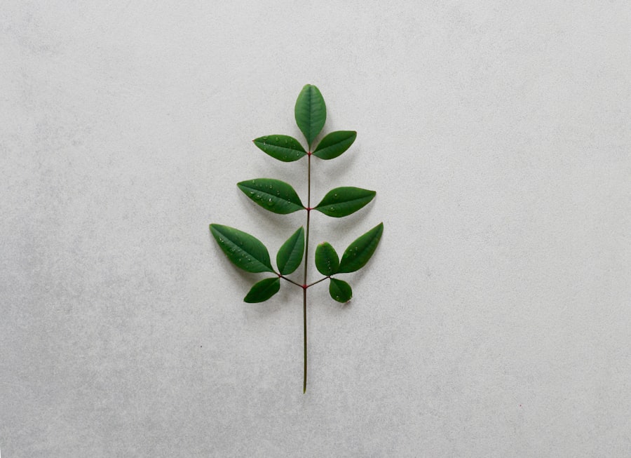 Photo Eco-Friendly Detailing
