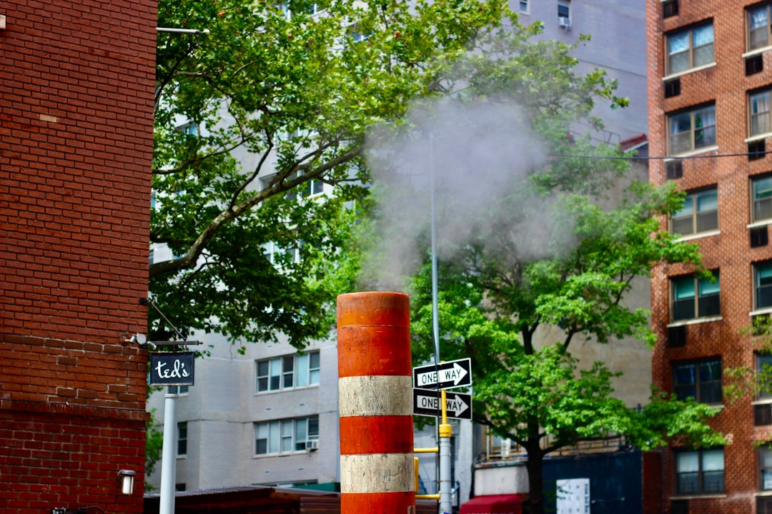 Photo Steam Cleaning