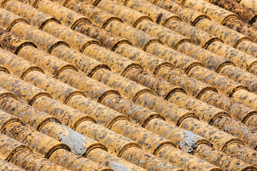 Photo Cleaning Fabric Convertible Roofs