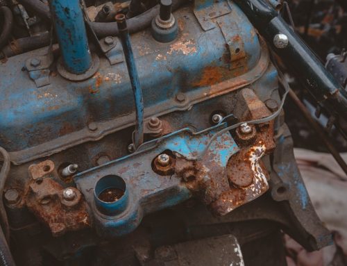 What Clients Expect from a Steam-Based Car Detailing Service