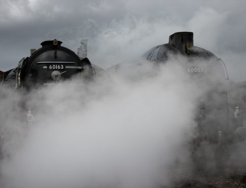 Turning a Steam Detailing Skill into a Scalable Business