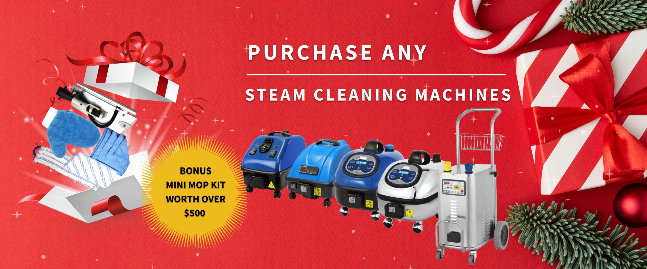 Purchase steam cleaning machines receive bonus mini mop kit worth over $500