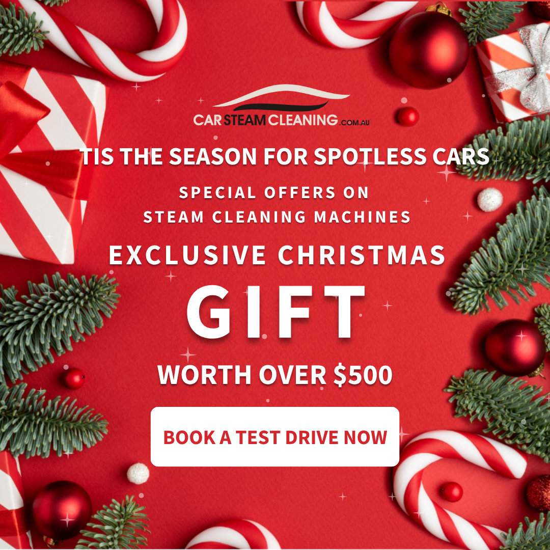 Go beyond a basic car wash with the power of steam, receive EXCLUSIVE Christmas GIFT worth over $500
